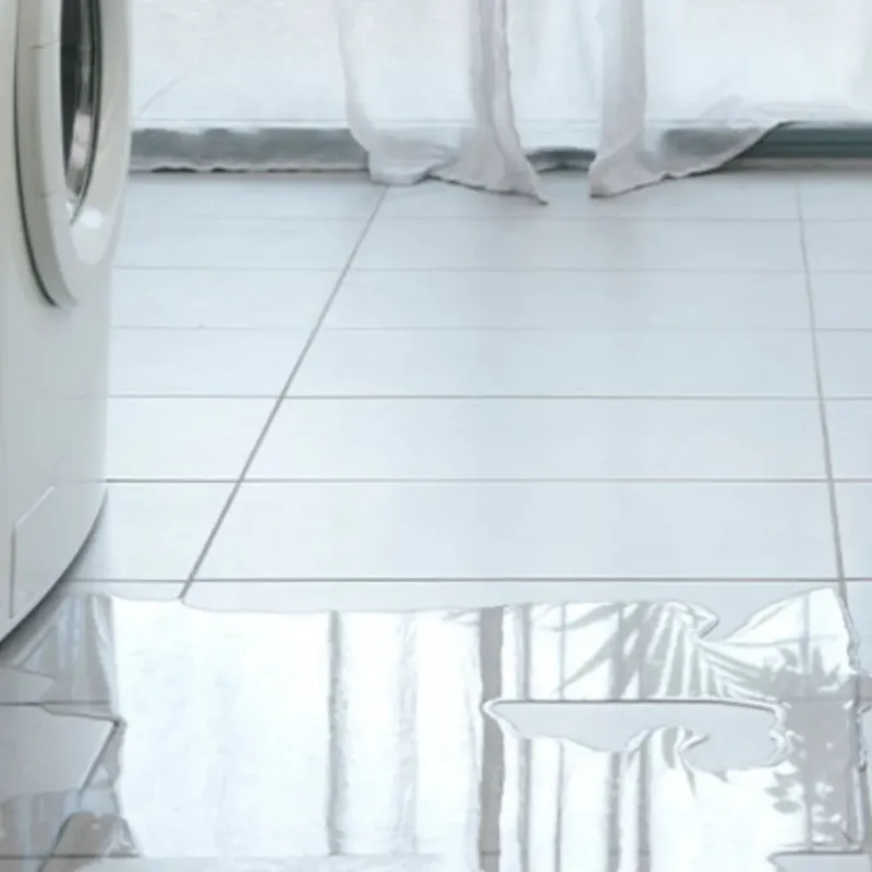 Appliance Leak Cleanup in Greentown, OH