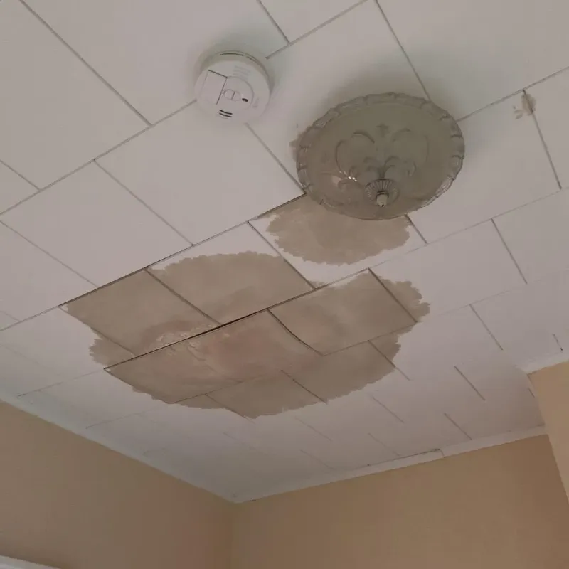 Ceiling Water Damage Repair in Greentown, OH