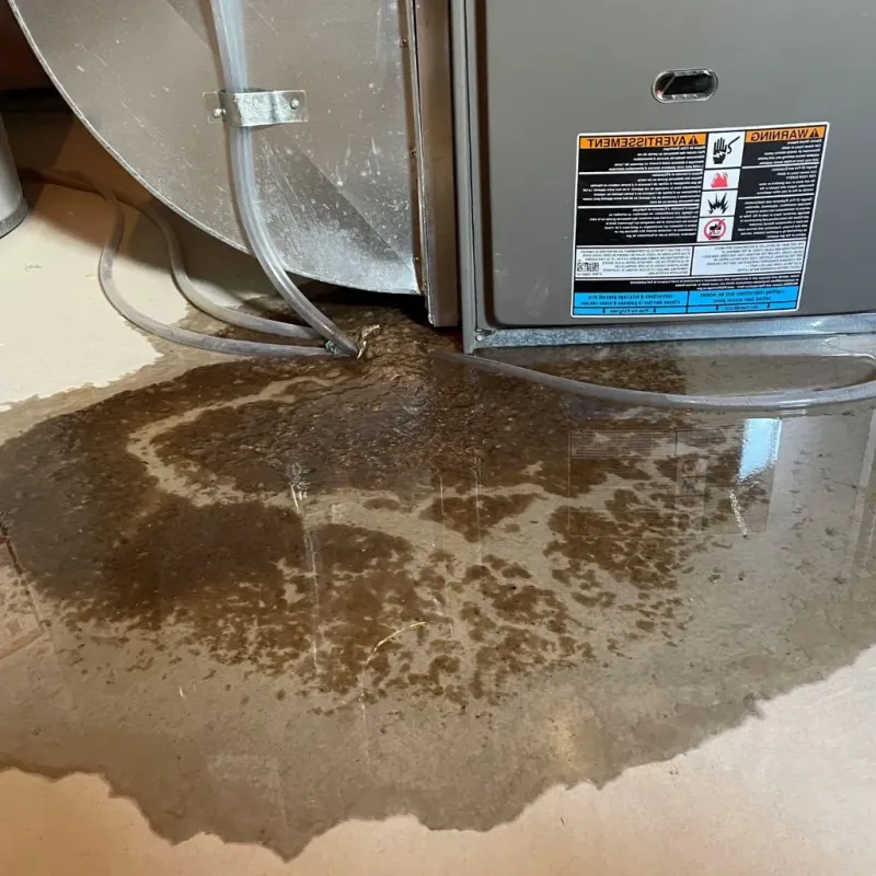 Pipe Burst and Leak Restoration in Greentown, OH