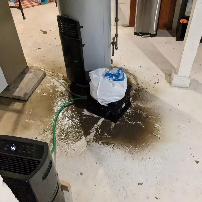 Sewage Backup Cleanup Service in Greentown, OH
